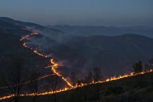 Wildfire evacuations
