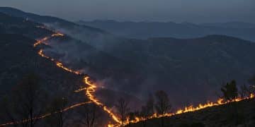 Wildfire evacuations